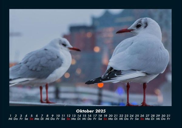 Produktbild: Welt der V&ouml;gel 2025 Fotokalender DIN A4