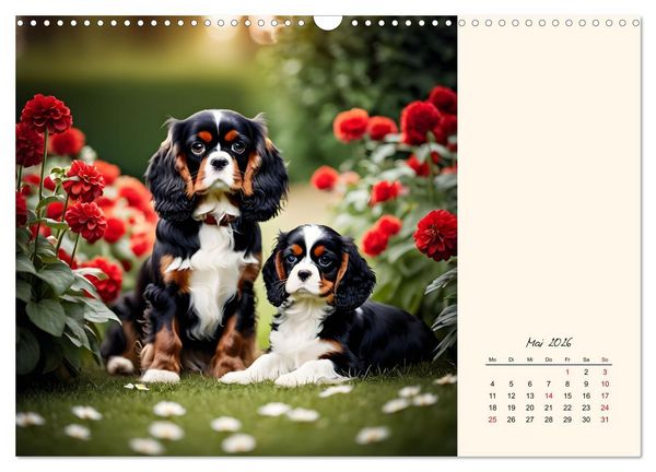 Produktbild: Goldige Kavalier King Charles Spaniels (Wandkalender 2026 DIN A3 quer), CALVENDO Monatskalender