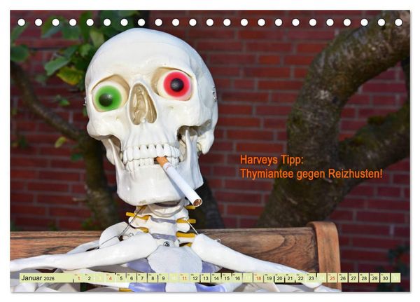Produktbild: Harvey, der Heilpraktiker (Tischkalender 2026 DIN A5 quer), CALVENDO Monatskalender
