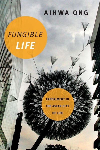Produktbild: Fungible Life