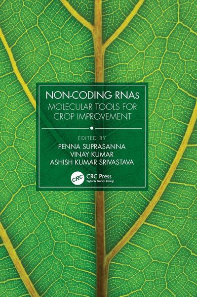 Produktbild: Non-Coding RNAs