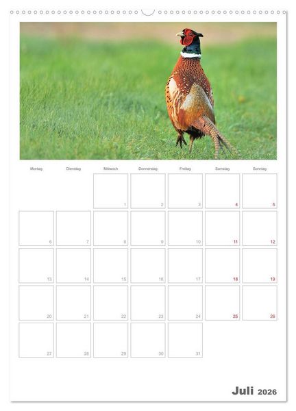 Produktbild: Rehe & Co / Planer (Wandkalender 2026 DIN A2 hoch), CALVENDO Monatskalender