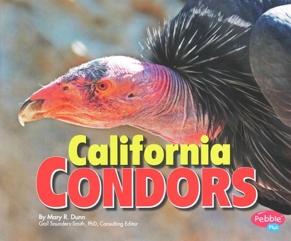 Produktbild: California Condors