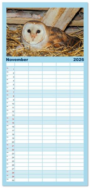 Produktbild: Familienplaner 2026 - Das Leben der Eulen, die Damen der Nacht mit 5 Spalten (Wandkalender, 21 x 45 cm) CALVENDO