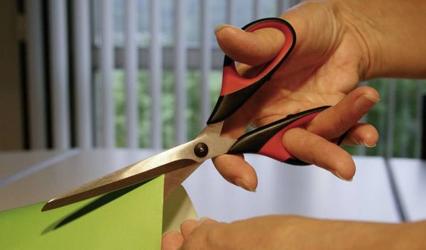 Produktbild: Erdi Mehrzweckschere D821-160