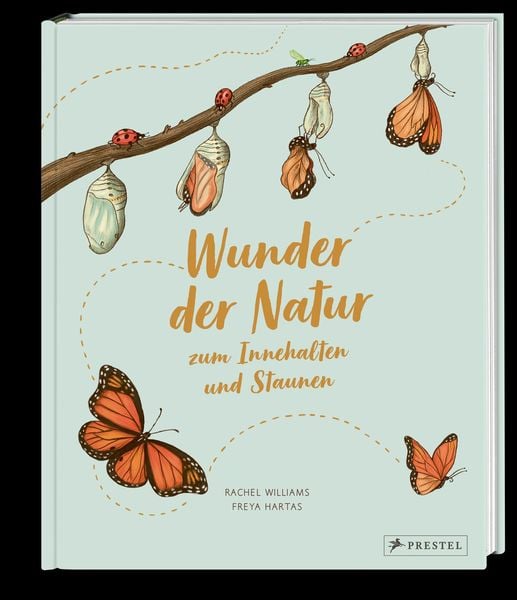 Produktbild: Wunder der Natur zum Innehalten und Staunen