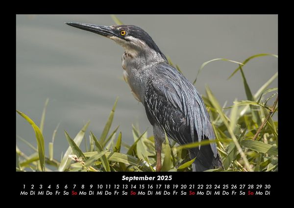Produktbild: Natur 2025 Fotokalender DIN A3