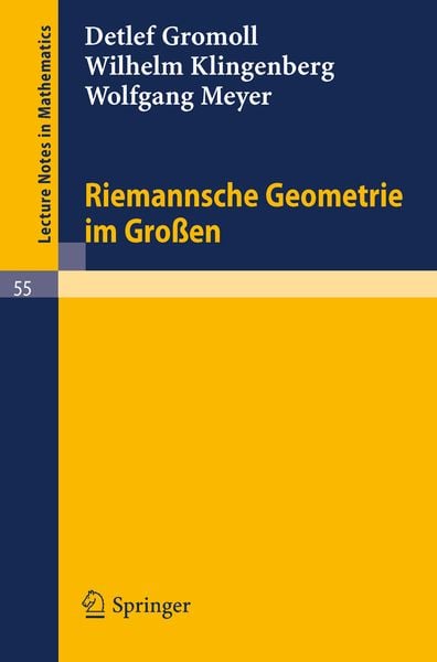 Produktbild: Riemannsche Geometrie im Gro&szlig;en