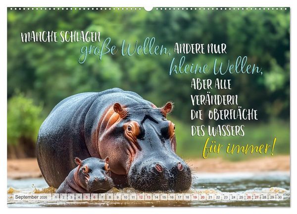 Produktbild: Ein tierisch gutes Jahr (hochwertiger Premium Wandkalender 2026 DIN A2 quer), Kunstdruck in Hochglanz