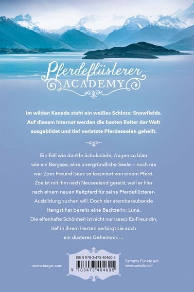 Produktbild: Pferdefl&uuml;sterer-Academy, Band 11: Verborgene Gef&uuml;hle