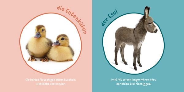 Produktbild: Baby Pixi (unkaputtbar) 183: Mein Baby-Pixi-Buggybuch: Meine ersten Tiere