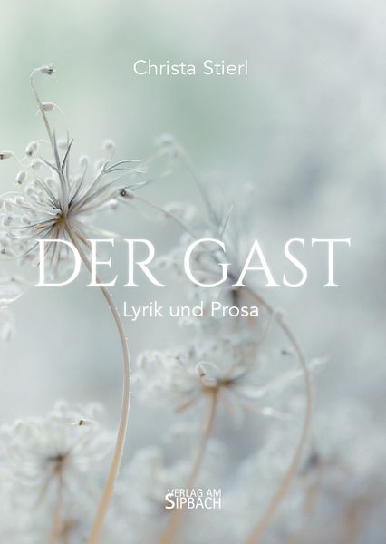 Produktbild: Der Gast