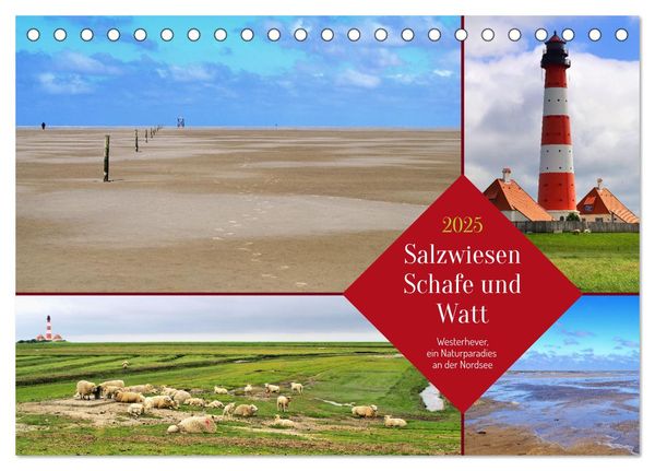 Salzwiesen, Schafe und Watt - Westerhever, ein Naturparadies an der Nordsee (Tischkalender 2025 DIN A5 quer), CALVENDO M