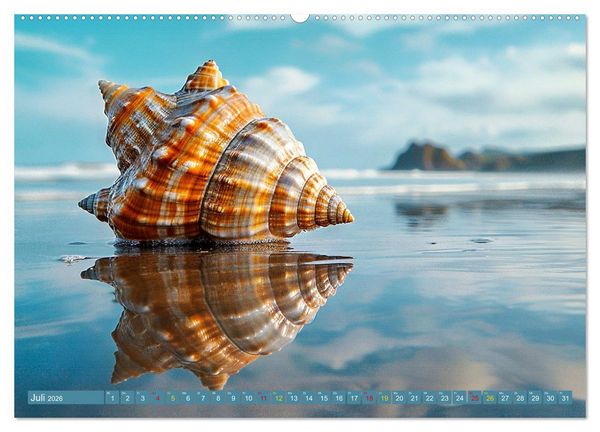 Produktbild: Faszination Muscheln (Wandkalender 2026 DIN A2 quer), CALVENDO Monatskalender