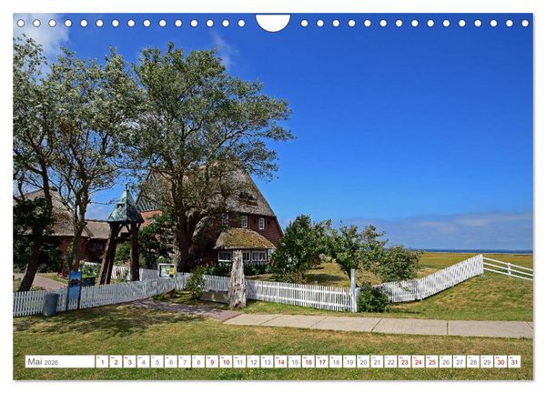 Produktbild: Sommertage auf Hallig Hooge (Wandkalender 2026 DIN A4 quer), CALVENDO Monatskalender