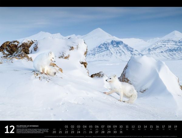Produktbild: Nordische Welten Signature Kalender 2027