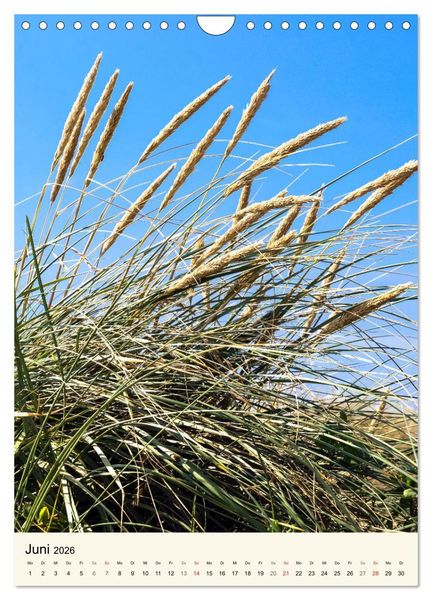 Produktbild: LANGEOOG Strandspaziergang (Wandkalender 2026 DIN A4 hoch), CALVENDO Monatskalender