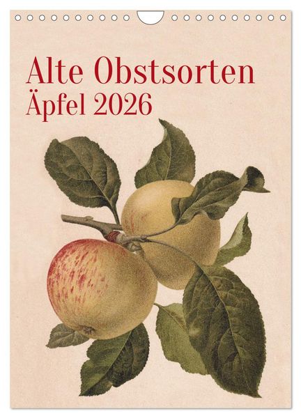Alte Obstsorten - Äpfel 2026 (Wandkalender 2026 DIN A4 hoch), CALVENDO Monatskalender