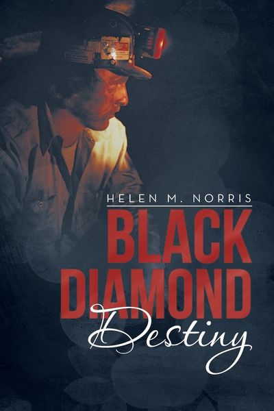 Produktbild: Black Diamond Destiny