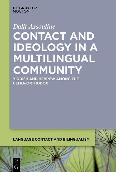 Produktbild: Contact and Ideology in a Multilingual Community