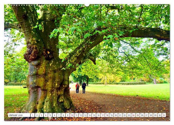Produktbild: Gr&uuml;nes Paradies - Schlosspark Paffendorf (hochwertiger Premium Wandkalender 2026 DIN A2 quer), Kunstdruck in Hochglanz