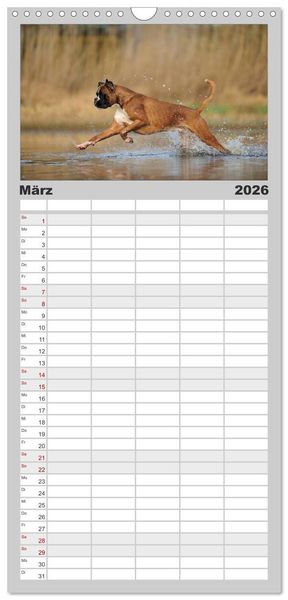 Produktbild: Familienplaner 2026 - Gut - besser - Boxer mit 5 Spalten (Wandkalender, 21 x 45 cm) CALVENDO