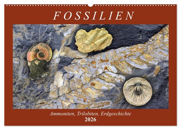 Fossilien - Ammoniten, Trilobiten, Erdgeschichte (Wandkalender 2026 DIN A2 quer), CALVENDO Monatskalender