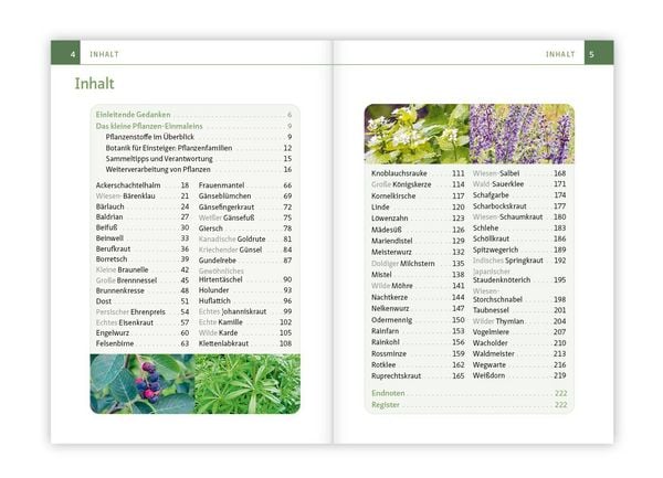 Produktbild: Essbare Heilkr&auml;uter und Wildpflanzen. Kompakt-Ratgeber