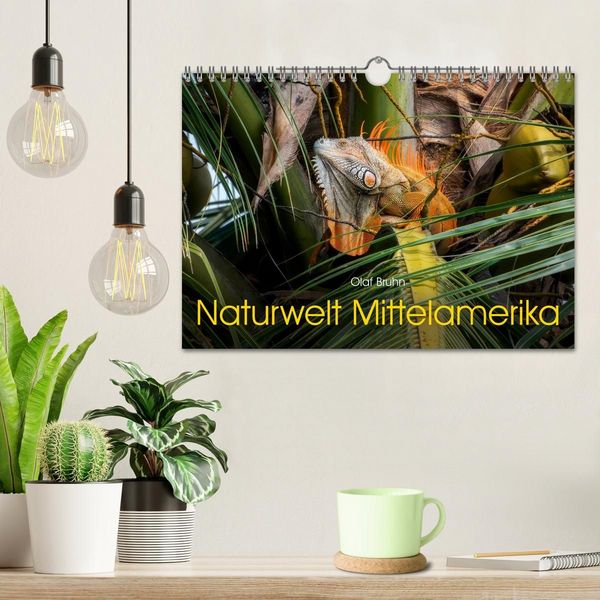 Produktbild: Naturwelt Mittelamerika (Wandkalender 2027 DIN A4 quer), CALVENDO Monatskalender