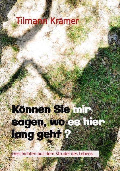 Können Sie mir sagen, wo es hier lang geht? Geschichten über Männer, ihre Träume und Stolpersteine, Taschenbuch von Tilmann Krämer, Tredition,