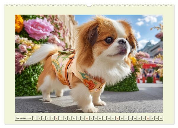Produktbild: Edle Japan Chins. Zarte Herzen aus Fernost (hochwertiger Premium Wandkalender 2026 DIN A2 quer), Kunstdruck in Hochglanz