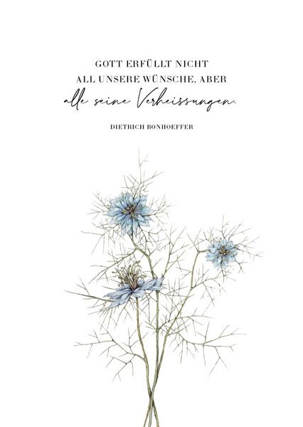 Produktbild: SegensW&uuml;nsche