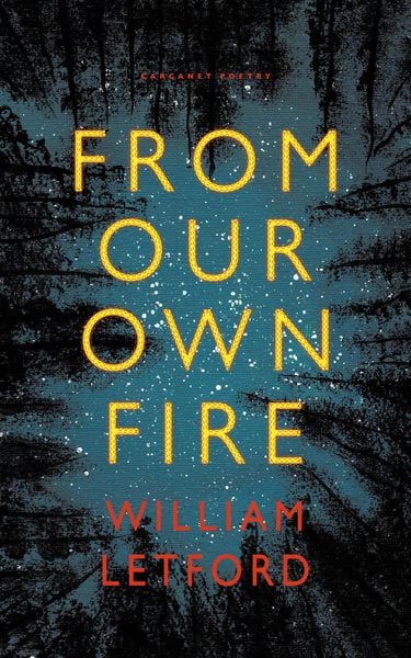 Produktbild: From Our Own Fire