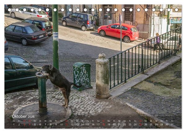 Produktbild: Zauberhaftes Lissabon (Tischkalender 2026 DIN A5 quer), CALVENDO Monatskalender