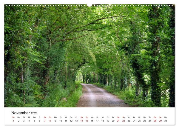 Produktbild: Cornwall und Wales (Wandkalender 2026 DIN A2 quer), CALVENDO Monatskalender