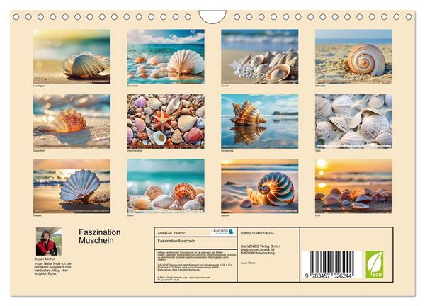 Produktbild: Faszination Muscheln (Wandkalender 2026 DIN A4 quer), CALVENDO Monatskalender