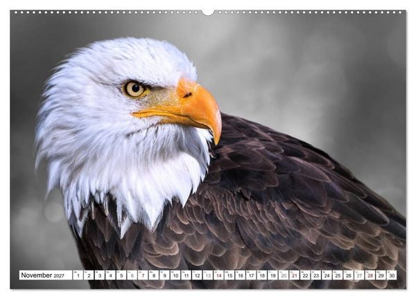 Produktbild: Erfolgreiche J&auml;ger (hochwertiger Premium Wandkalender 2027 DIN A2 quer), Kunstdruck in Hochglanz