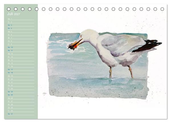 Produktbild: M&ouml;wen - Aquarelle von Julia Pasinski (Tischkalender 2027 DIN A5 quer), CALVENDO Monatskalender