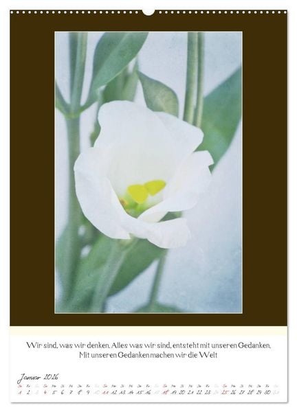Produktbild: Der Buddhistische Weisheiten Kalender (Wandkalender 2026 DIN A2 hoch), CALVENDO Monatskalender