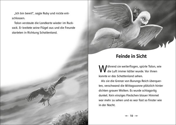 Produktbild: Der letzte Feuerfalke und das Schattenland (Band 5)