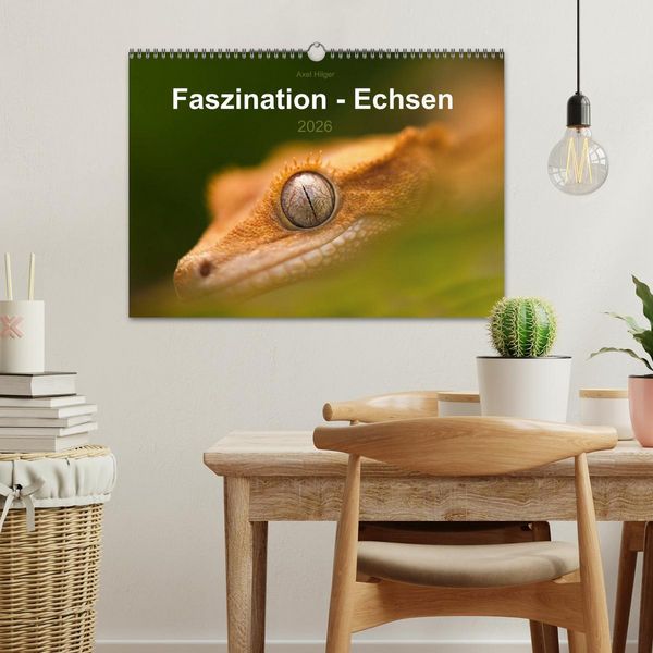 Produktbild: Faszination - Echsen (Wandkalender 2026 DIN A3 quer), CALVENDO Monatskalender