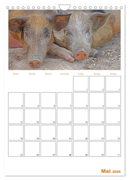 Produktbild: Gambia und Senegal erleben (Wandkalender 2026 DIN A4 hoch), CALVENDO Monatskalender