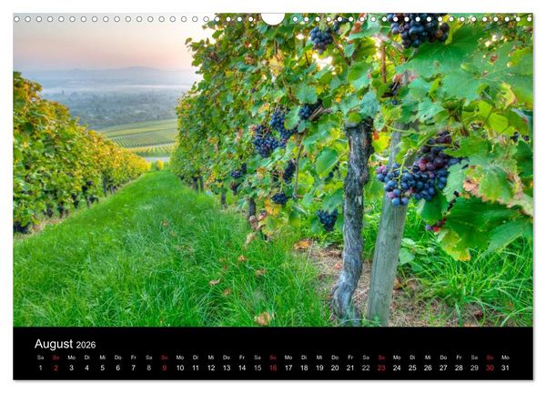 Produktbild: Weinberge im Remstal (Wandkalender 2026 DIN A3 quer), CALVENDO Monatskalender