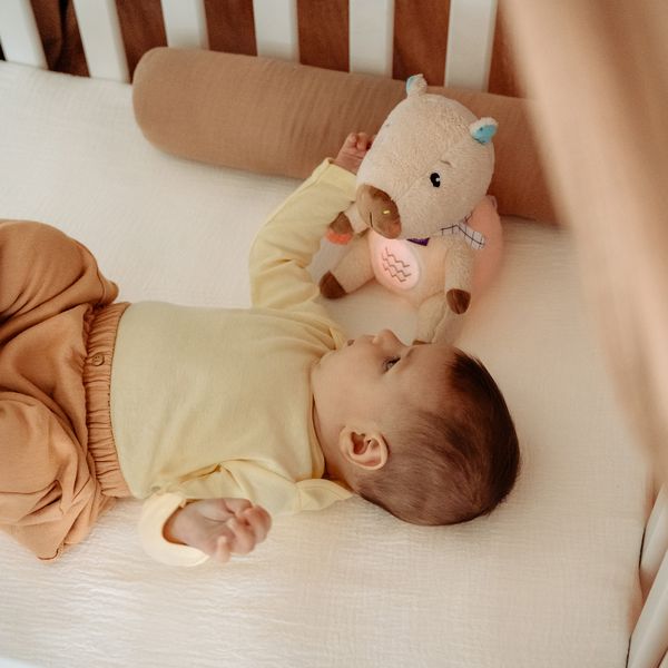 Produktbild: Nachtlicht Capybara
