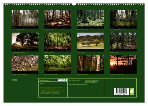 Produktbild: Wald (hochwertiger Premium Wandkalender 2026 DIN A2 quer), Kunstdruck in Hochglanz