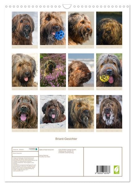 Produktbild: Briard-Gesichter (Wandkalender 2026 DIN A3 hoch), CALVENDO Monatskalender