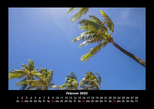 Produktbild: Palmentraum 2025 Fotokalender DIN A3