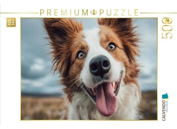 CALVENDO Puzzle Freiheit spüren, Abenteuer leben | 500 Teile Lege-Größe 48 × 36 cm Foto-Puzzle für Erwachsene