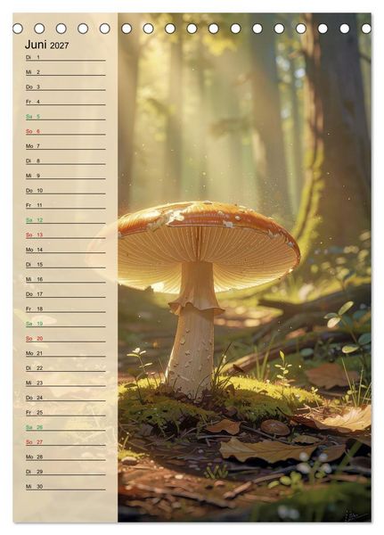 Produktbild: Pilze wie im M&auml;rchen (Tischkalender 2027 DIN A5 hoch), CALVENDO Monatskalender