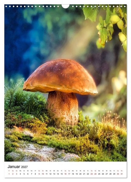 Produktbild: Pilzzeit - Leben auf dem Waldboden (Wandkalender 2027 DIN A3 hoch), CALVENDO Monatskalender